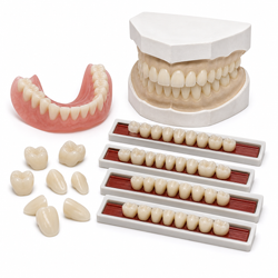 Denture teeth sets