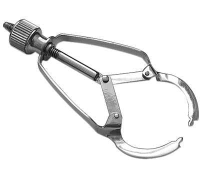 № 1.006 Ivory Retainer