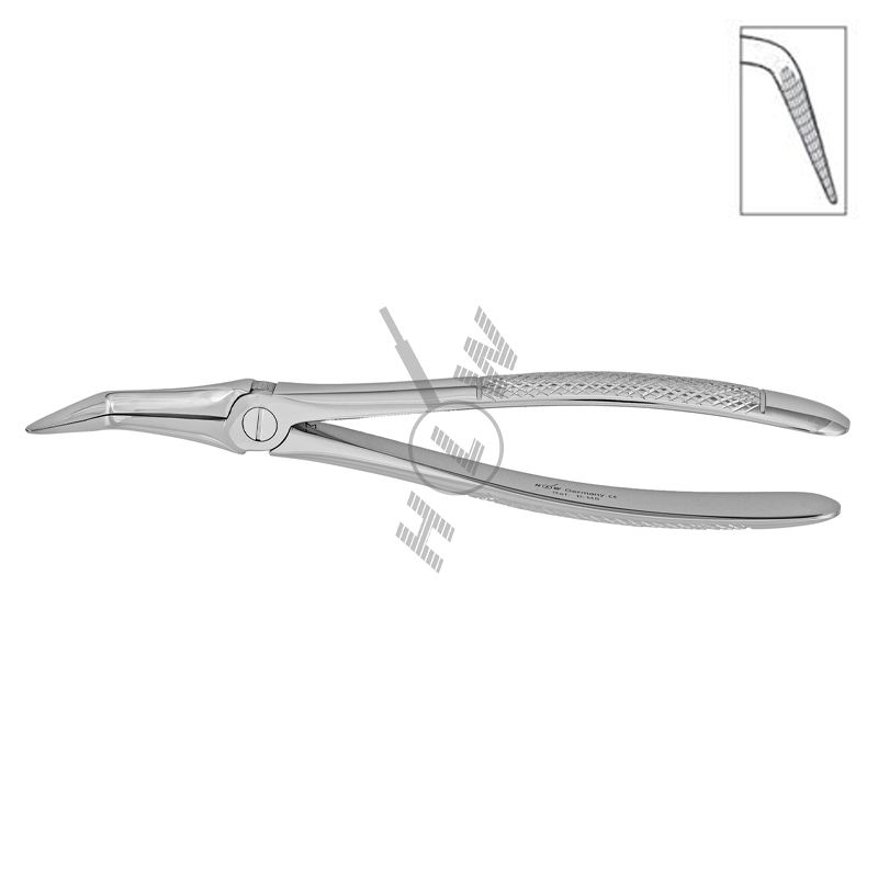 HLW Dental 11-145 extraction forceps for lower roots
