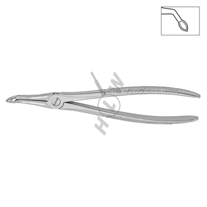 HLW Dental extraction forceps 11-146 for lower roots