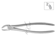 HLW extraction forceps 12-21 for lower molars