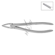 HLW Dental upper-root extraction forceps 11-30