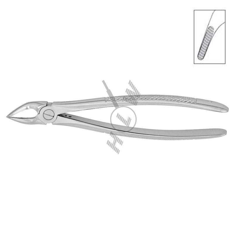 HLW 11-31 extraction forceps for lower roots