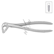 HLW extraction forceps 11-336 for lower premolars
