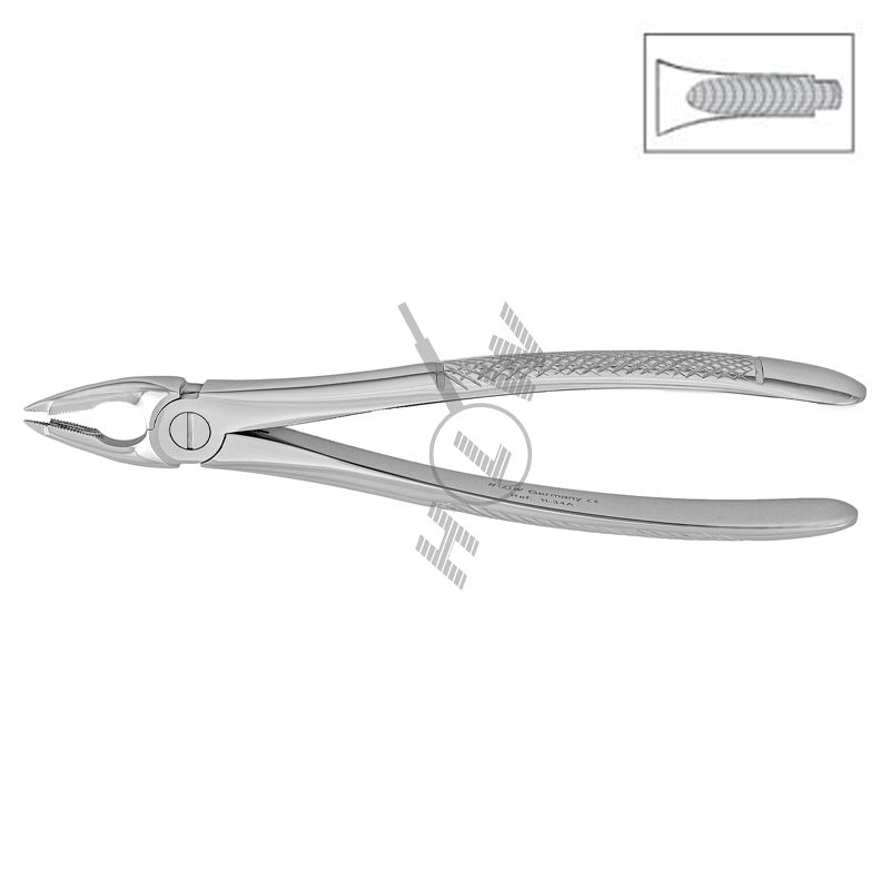 HLW Dental extraction forceps 11-34A for upper central incisors