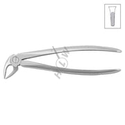 HLW pediatric extraction forceps 11-38 for lower incisors and canines