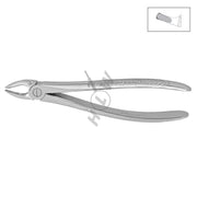 HLW Dental 11-39 pediatric extraction forceps for upper premolars