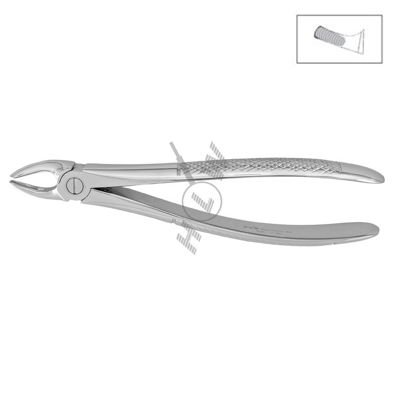 HLW Dental 11-39 pediatric extraction forceps for upper premolars