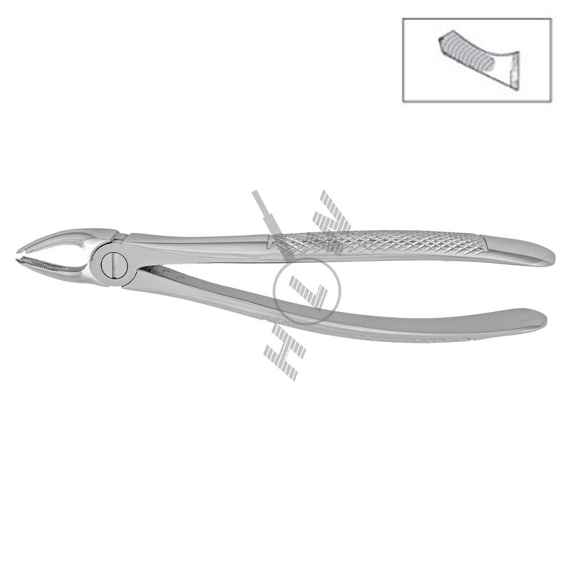 HLW Dental pediatric extraction forceps 11-39A for upper molars