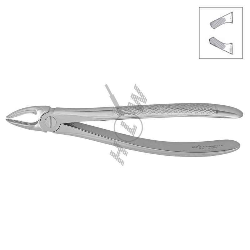 HLW pediatric extraction forceps 11-39R for right upper molars