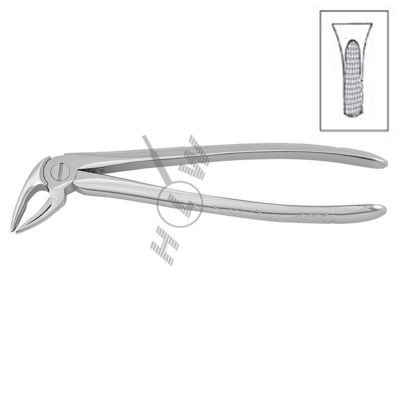 HLW Dental 11-4 extraction forceps for lower incisors and canines