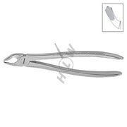 HLW Dental 11-40 pediatric extraction forceps for lower molars