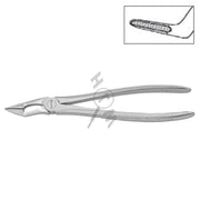 HLW 11-51K upper-root extraction forceps