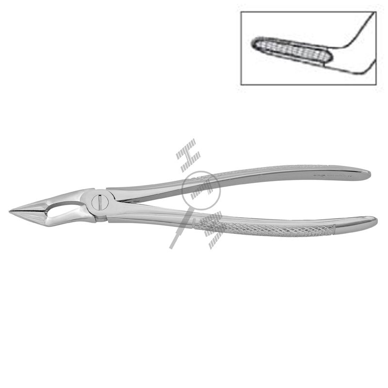 HLW 11-51K upper-root extraction forceps