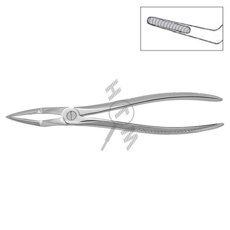 HLW Dental 11-51M extraction forceps for upper roots