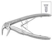 HLW pediatric extraction forceps 11-5B for lower incisors
