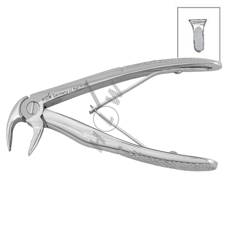 HLW pediatric extraction forceps 11-5B for lower incisors