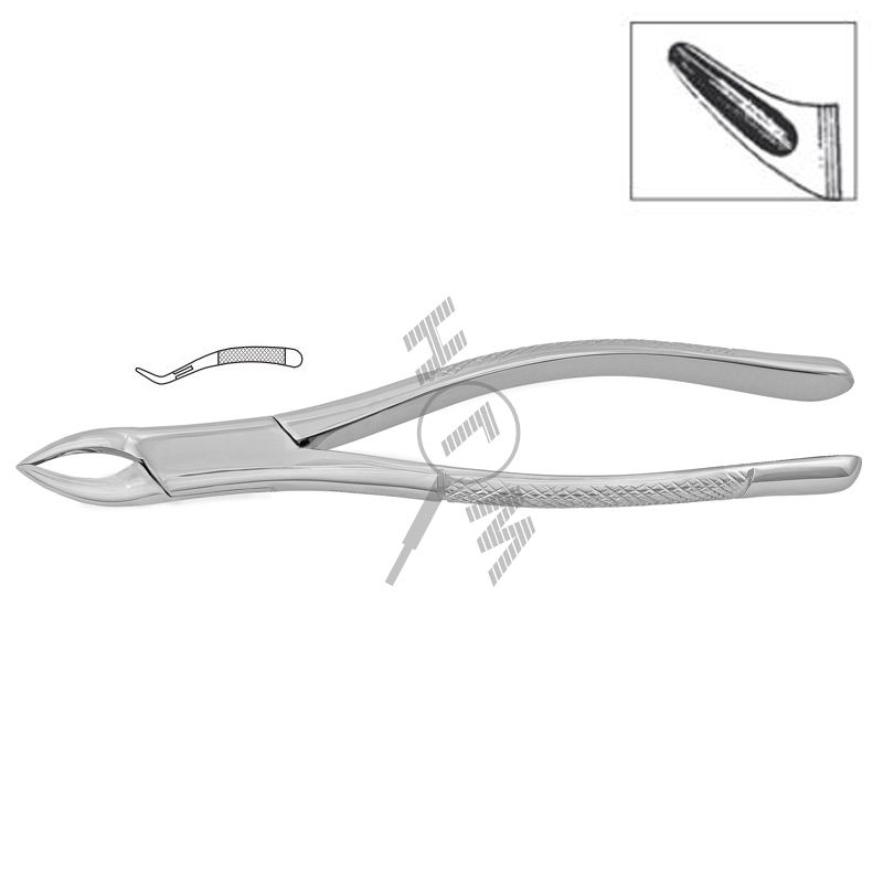 HLW Dental 11-62 universal extraction forceps for upper teeth