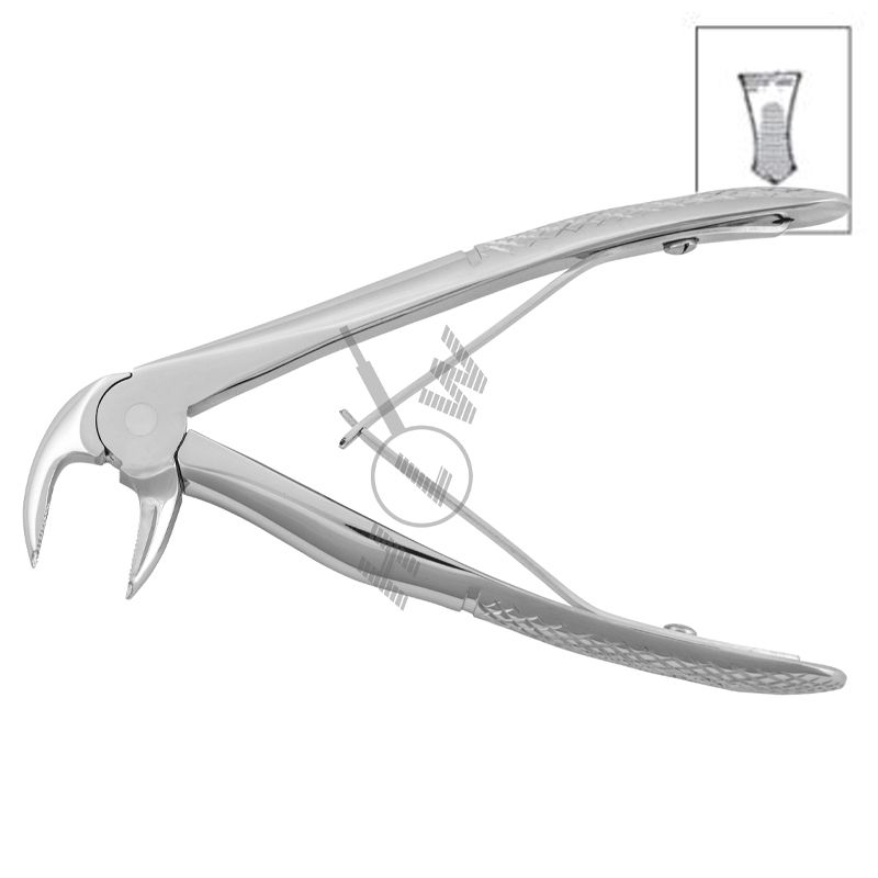 HLW 11-6B pediatric lower-molar extraction forceps