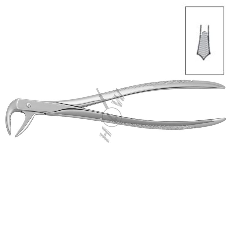 HLW Dental 11-73 extraction forceps for lower molars