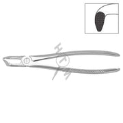 HLW Dental extraction forceps 11-79N for lower third molars
