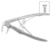 HLW Dental 11-7B child extraction forceps for lower roots