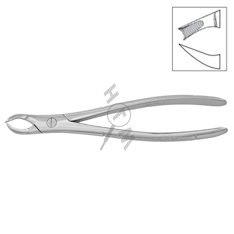 HLW Dental 11-89 extraction forceps for right upper molars