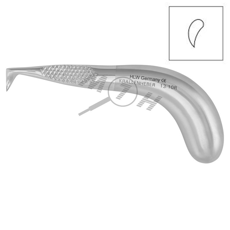 HLW Dental Krallenheber root elevator 13-10R
