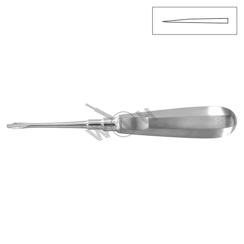 HLW long straight root elevator 13-36LX, size 5 mm