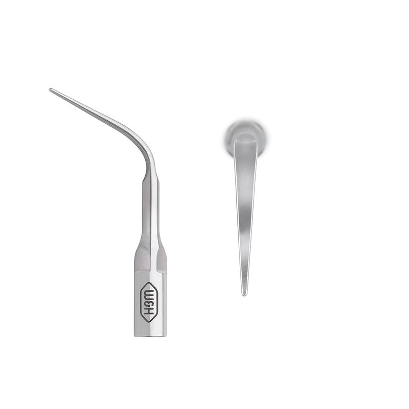 W&H 2US universal prophylaxis piezo tip