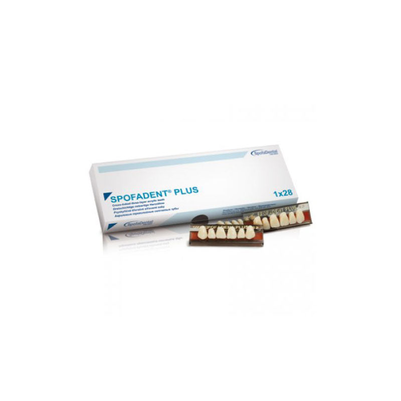 Spofadent Plus denture teeth set