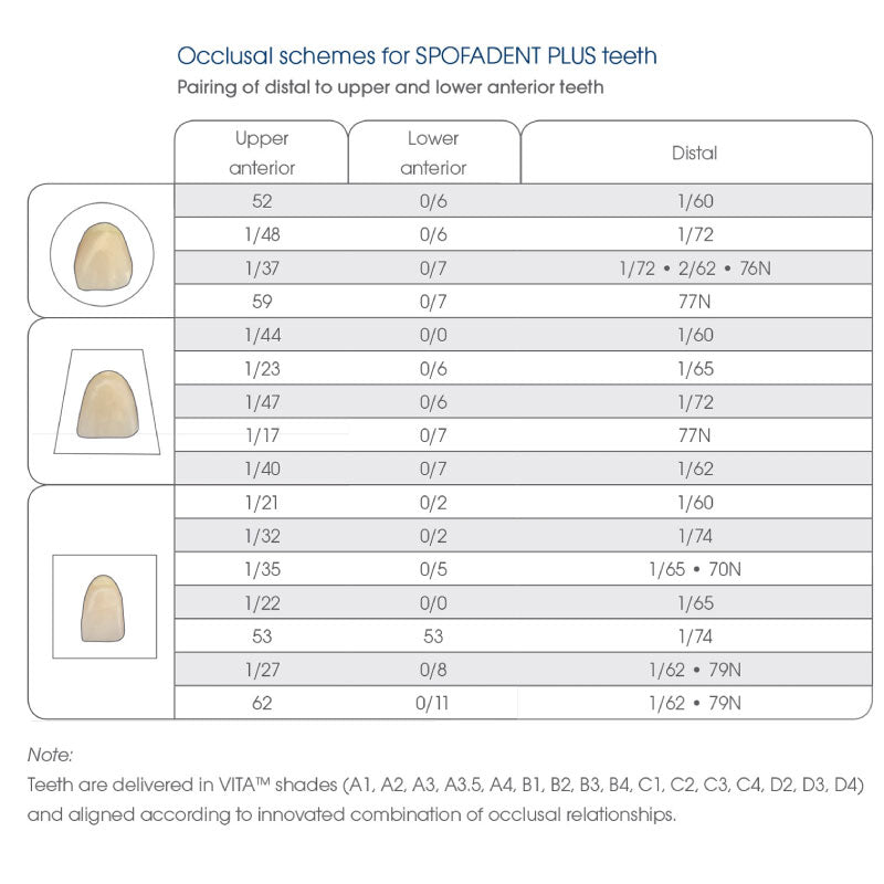 Spofadent Plus denture teeth set