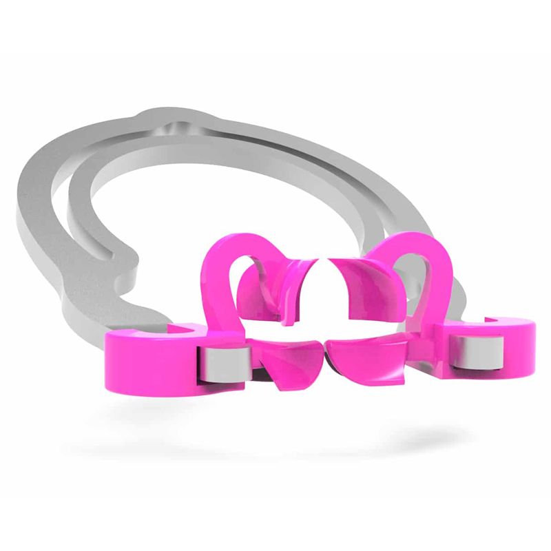 Polydentia myRing Prime sectional matrix ring