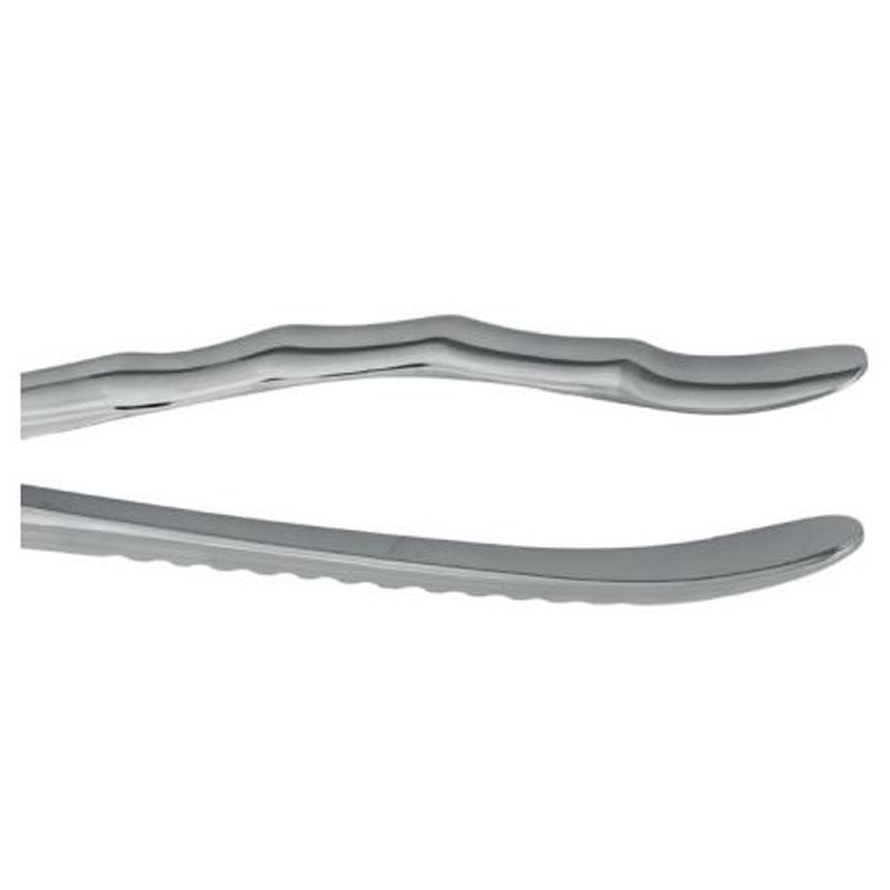 HLW lower-root extraction forceps 12-145
