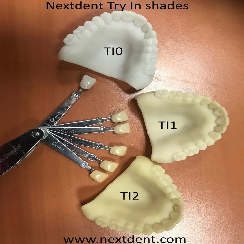 NextDent Try-In dental 3D-printing resin 1 kg