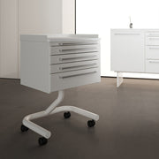 Loran Like SC4C mobile clinical cart