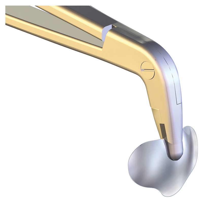 Polydentia myQuickmatrix forceps for sectional matrix rings