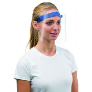 Larident R42 anti-fog protective visor