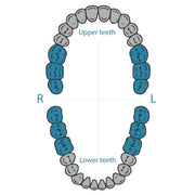 Dentech rubber dam clamp 18 for molars