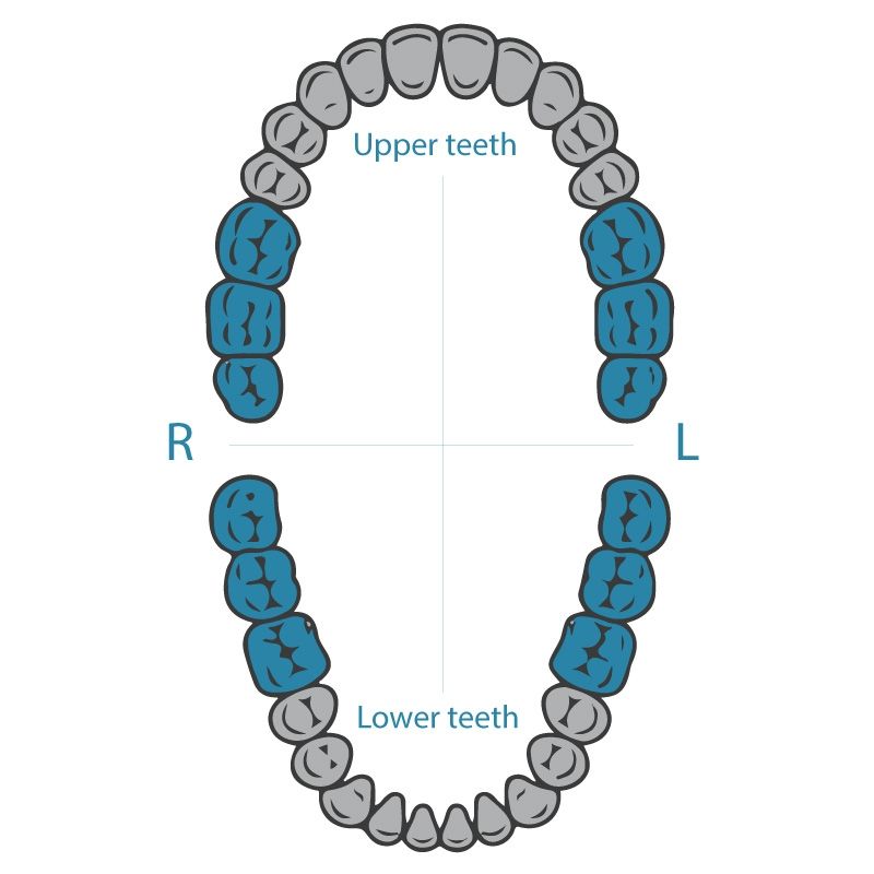 Dentech 28 rubber dam clamp for upper and lower molars