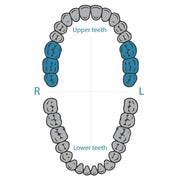 Dentech W8A wingless rubber dam clamp for upper molars