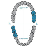 Dentech rubber dam clamp 24 for molars