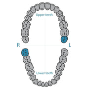 Dentech 139 rubber dam clamp for lower-right and upper-left molars