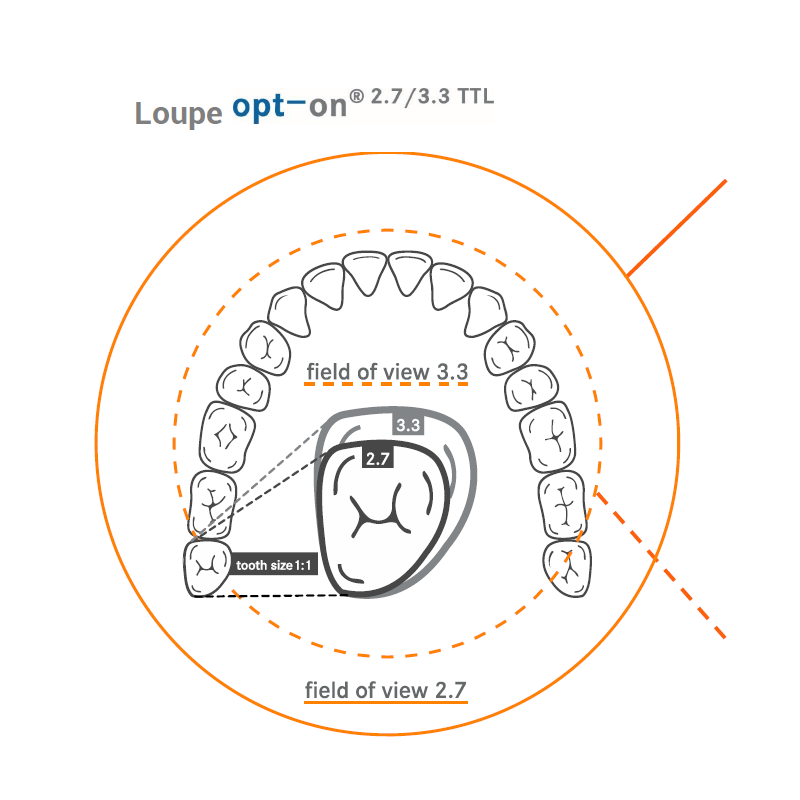 Orange Dental opt-on 3.3 TTL dental loupes
